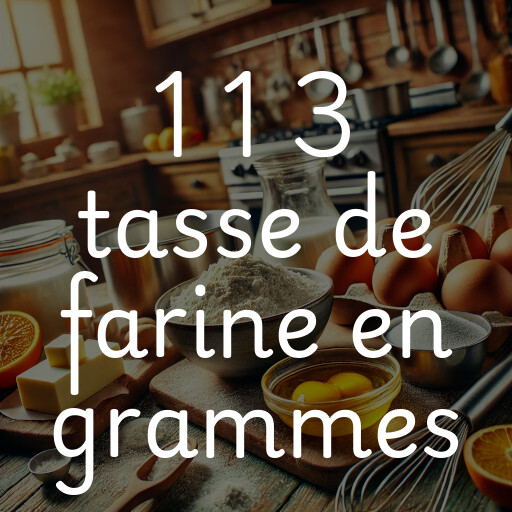 1 1 3 tasse de farine en grammes