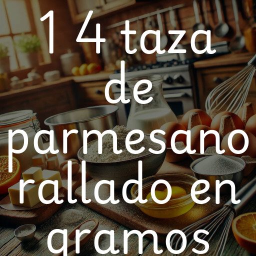 1 4 taza de parmesano rallado en gramos